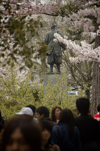 Illustration for article titled Random Walk Around My Place #2: Sakura Edition